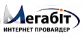 Мегабит